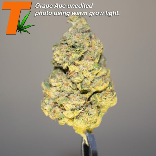 Greenhouse Grown THCA Flower: GRAPE APE - Image 3