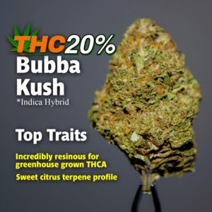 Greenhouse Grown THCA Flower: BUBBA KUSH