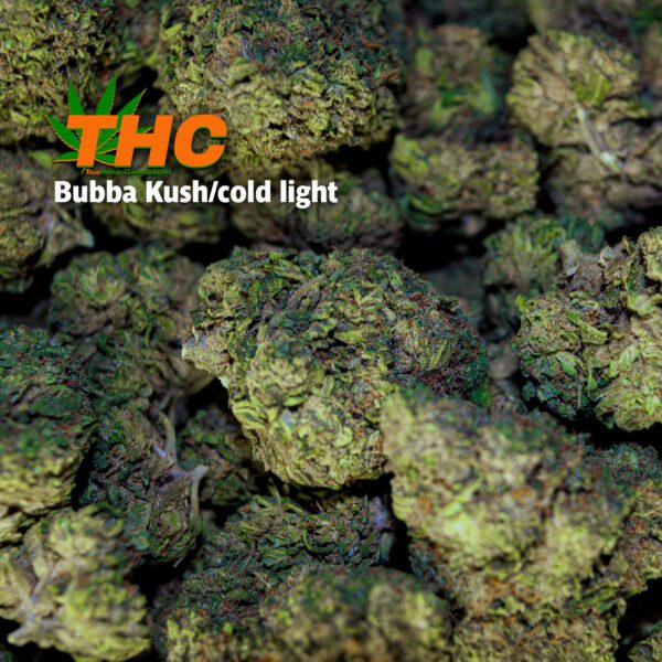 Greenhouse Grown THCA Flower: BUBBA KUSH - Image 3