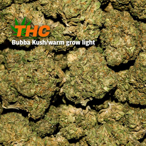 Greenhouse Grown THCA Flower: BUBBA KUSH - Image 2