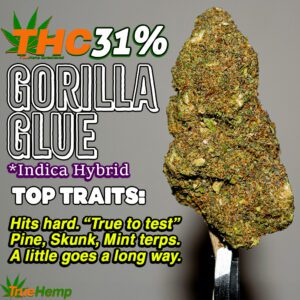 THCA 31% Indica Hybrid: GORILLA GLUE