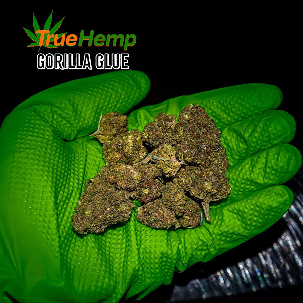 THCA 31% Indica Hybrid: GORILLA GLUE - Image 2