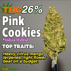 THCA 26% Indica Hybrid: PINK COOKIES